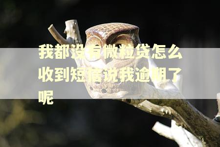我都没有微粒贷怎么收到短信说我逾期了呢