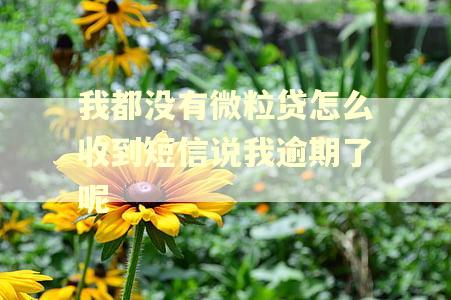 我都没有微粒贷怎么收到短信说我逾期了呢
