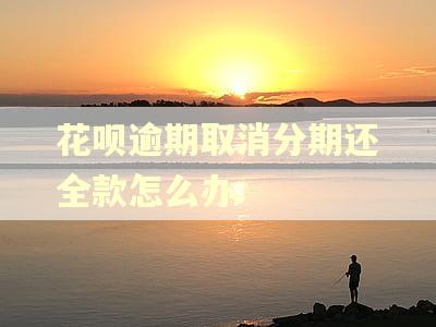 花呗逾期取消分期还全款怎么办