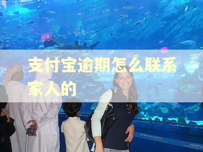 支付宝逾期怎么联系家人的