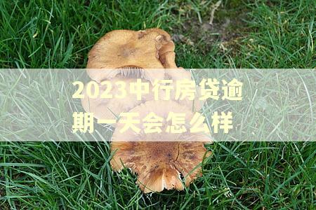 2023中行房贷逾期一天会怎么样