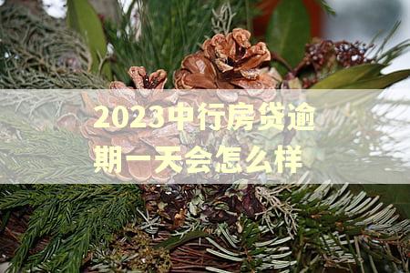 2023中行房贷逾期一天会怎么样