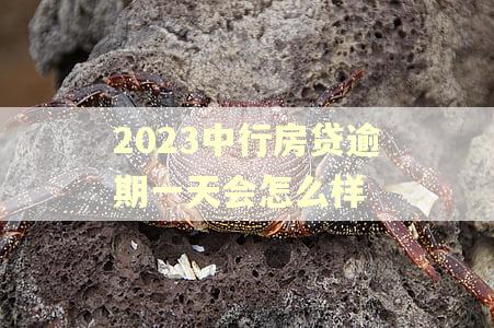 2023中行房贷逾期一天会怎么样
