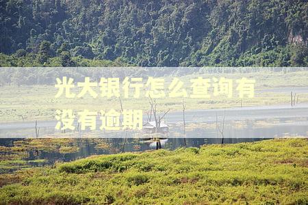 光大银行怎么查询有没有逾期
