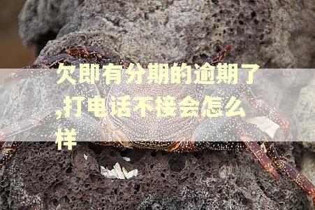 欠即有分期的逾期了,打电话不接会怎么样