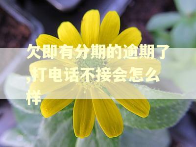 欠即有分期的逾期了,打电话不接会怎么样