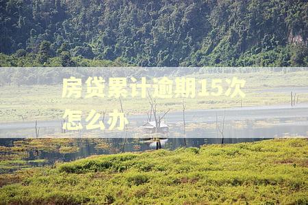 房贷累计逾期15次怎么办