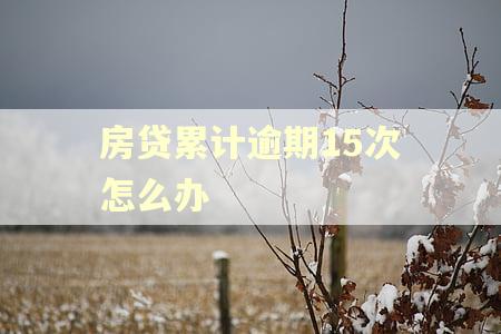 房贷累计逾期15次怎么办 房贷累计逾期15次怎么办