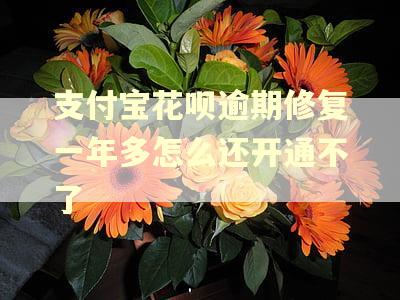 支付宝花呗逾期修复一年多怎么还开通不了