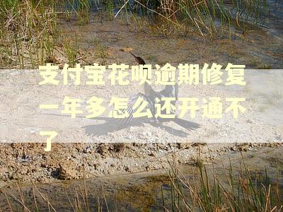 支付宝花呗逾期修复一年多怎么还开通不了