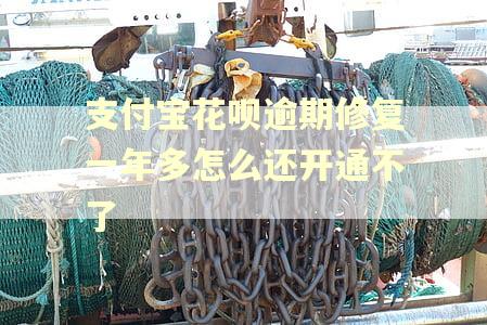 支付宝花呗逾期修复一年多怎么还开通不了 支付宝花呗逾期修复一年多怎么还开通不了