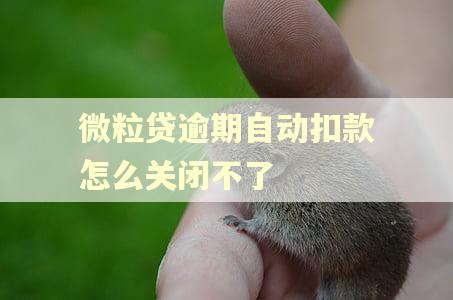 微粒贷逾期自动扣款怎么关闭不了