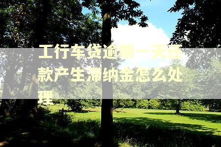 工行车贷逾期一天还款产生滞纳金怎么处理
