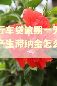 工行车贷逾期一天还款产生滞纳金怎么处理