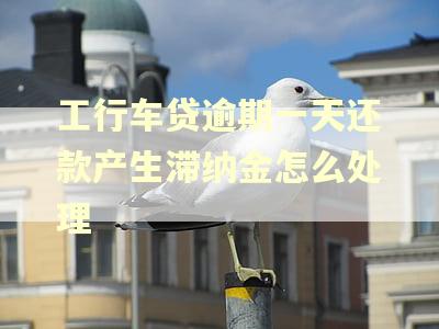 工行车贷逾期一天还款产生滞纳金怎么处理
