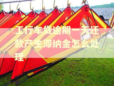 工行车贷逾期一天还款产生滞纳金怎么处理