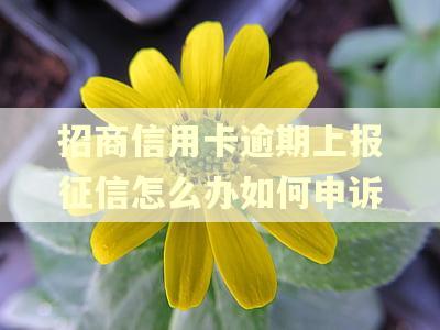 招商信用卡逾期上报征信怎么办如何申诉 招商信用卡逾期上报征信怎么办如何申诉