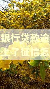 平安银行贷款逾期两天就上了征信怎么办