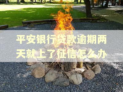 平安银行贷款逾期两天就上了征信怎么办