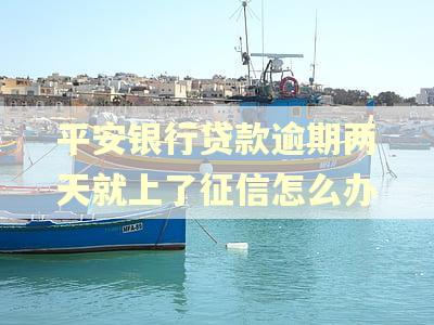 平安银行贷款逾期两天就上了征信怎么办 平安银行贷款逾期两天就上了征信怎么办