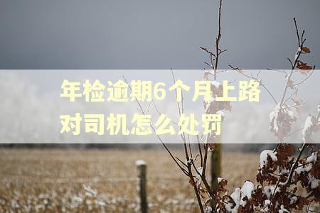 年检逾期6个月上路对司机怎么处罚