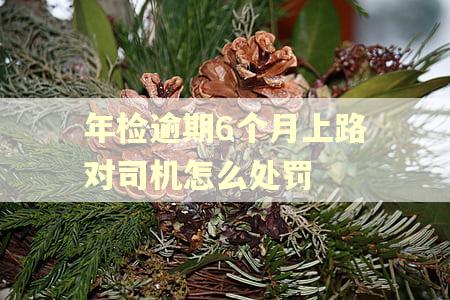年检逾期6个月上路对司机怎么处罚