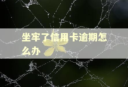 坐牢了信用卡逾期怎么办