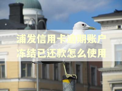 浦发信用卡逾期账户冻结已还款怎么使用