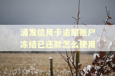 浦发信用卡逾期账户冻结已还款怎么使用 浦发信用卡逾期账户冻结已还款怎么使用
