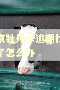 北京牡丹卡逾期找不到了怎么办