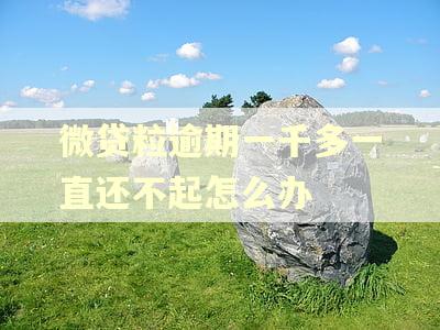 微贷粒逾期一千多一直还不起怎么办