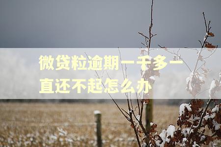 微贷粒逾期一千多一直还不起怎么办