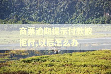 商票逾期提示付款被拒付,以后怎么办