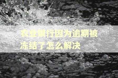 农业银行因为逾期被冻结了怎么解决