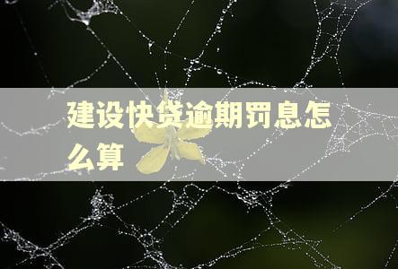 建设快贷逾期罚息怎么算 建设快贷逾期罚息怎么算