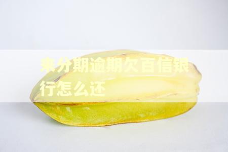 来分期逾期欠百信银行怎么还 来分期逾期欠百信银行怎么还