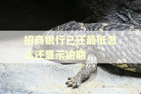 招商银行已还最低怎么还显示逾期