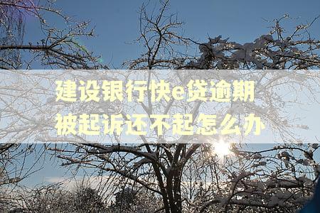 建设银行快e贷逾期被起诉还不起怎么办 建设银行快e贷逾期被起诉还不起怎么办