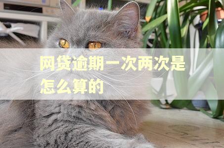 网贷逾期一次两次是怎么算的