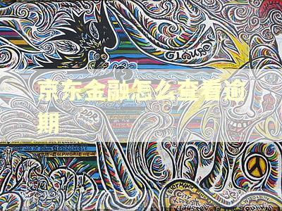 京东金融怎么查看逾期