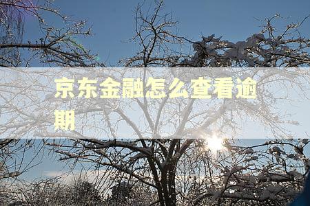 京东金融怎么查看逾期 京东金融怎么查看逾期