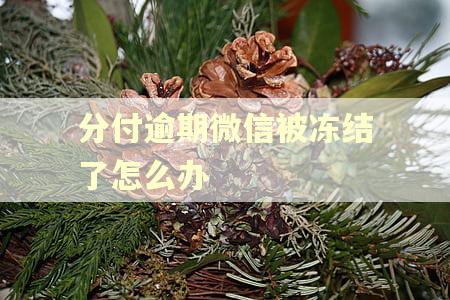 分付逾期微信被冻结了怎么办