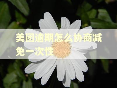 美团逾期怎么协商减免一次性