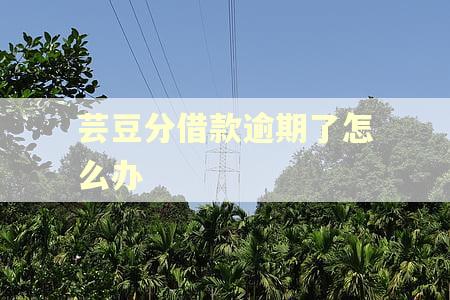 芸豆分借款逾期了怎么办