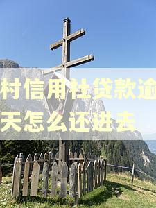 农村信用社贷款逾期一天怎么还进去
