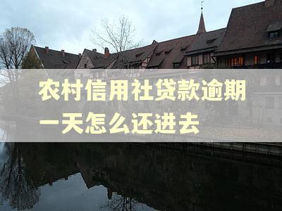 农村信用社贷款逾期一天怎么还进去 农村信用社贷款逾期一天怎么还进去