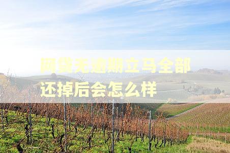 网贷无逾期立马全部还掉后会怎么样