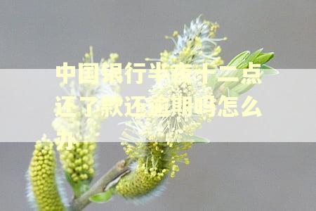 中国银行半夜十二点还了款还逾期吗怎么办
