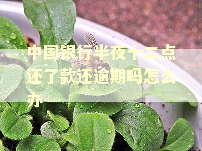 中国银行半夜十二点还了款还逾期吗怎么办