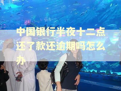 中国银行半夜十二点还了款还逾期吗怎么办 中国银行半夜十二点还了款还逾期吗怎么办